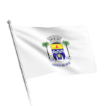 Bandeiras Cidades Minas Gerais (8)